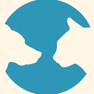 Foto de perfil de Instagram de CMV Hospital.